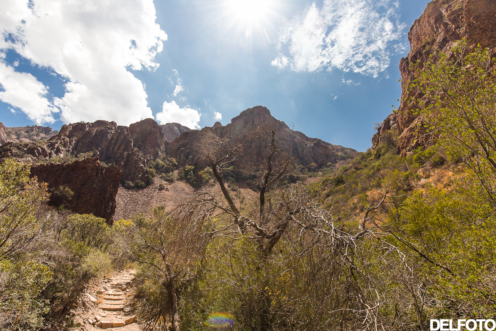 Big Bend National Park Texas Austin Roadtrip Chisos Basin Mountains Hiking Hike Landscape Photography Photographer Portrait Wedding Engagement Affordable