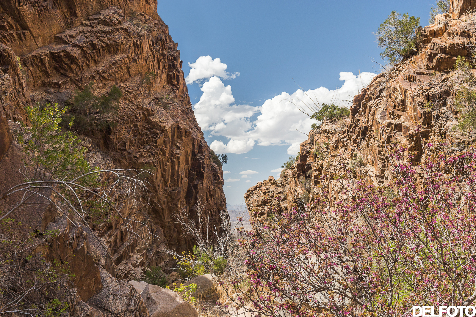 Big Bend National Park Texas Austin Roadtrip Chisos Basin Mountains Hiking Hike Landscape Photography Photographer Portrait Wedding Engagement Affordable