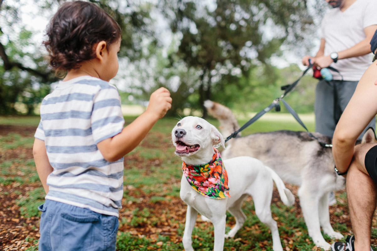 family dog and son portrait austin texas
